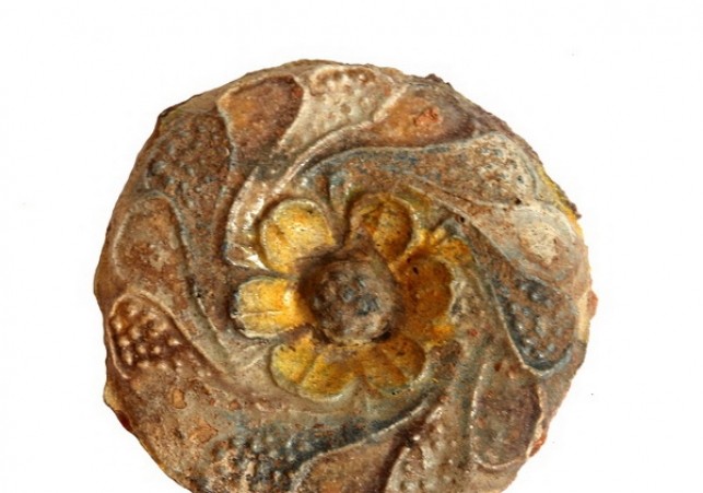 odkrycia w zelechowie