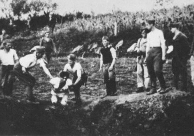 jasenovac