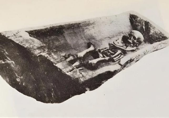 ksiezniczka z bagicza