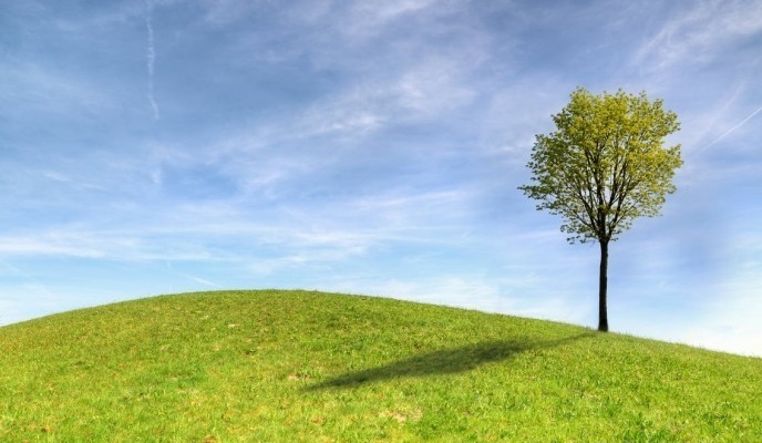 pexels-photo-1083386