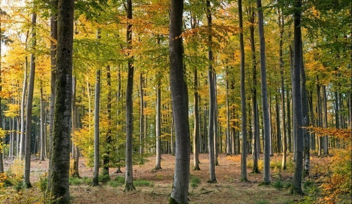 pexels-photo-1567058_zmien rozmiary