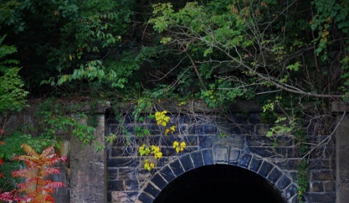 pexels-photo-170154_zmien rozmiary