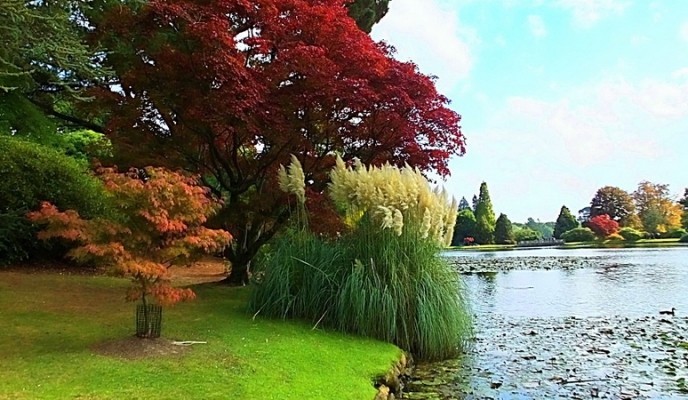 pexels-photo-308724_zmien rozmiary