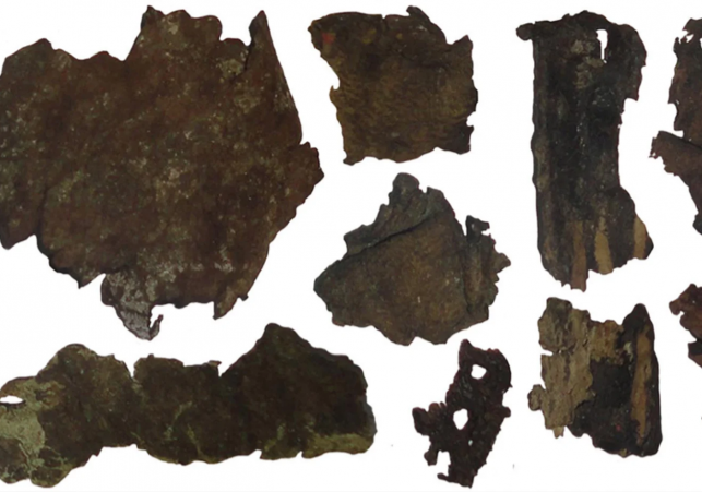 ludzka skora wykorzystywana przez scytow