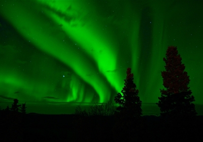 wystawa o zjawiskach przyrodniczych