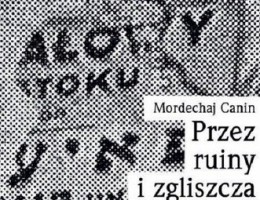 big_przez-ruiny-i-zgliszcza
