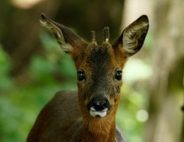 pexels-photo-4598713