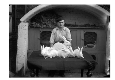 Przy rodzicach nie parlowac