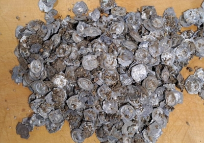 skarb monet z niemiec