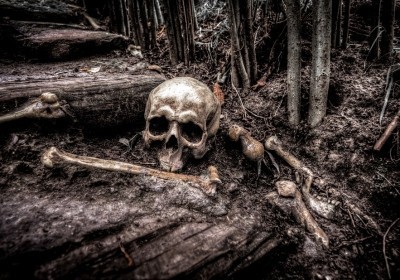 odkrycie szkieletów w tarnowie