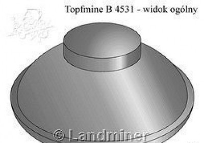 topfmine b4531