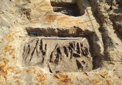 zbiorowe mogily krotoszyn 